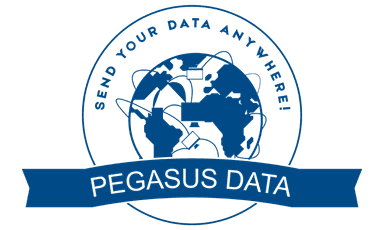 PegasusData Tech Logo